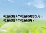 釣魚秘籍 4個釣魚秘訣怎么用（釣魚秘籍 4個釣魚秘訣）