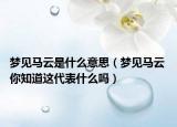 夢見馬云是什么意思（夢見馬云 你知道這代表什么嗎）