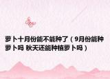 蘿卜十月份能不能種了（9月份能種蘿卜嗎 秋天還能種植蘿卜嗎）
