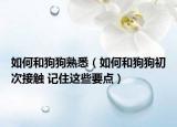如何和狗狗熟悉（如何和狗狗初次接觸 記住這些要點(diǎn)）