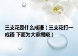 三支花是什么成語（三支花打一成語 下面為大家揭曉）