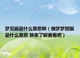 夢見貓是什么意思啊（做夢夢到貓是什么意思 快來了解看看吧）