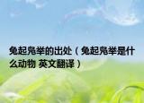 兔起鳧舉的出處（兔起鳧舉是什么動(dòng)物 英文翻譯）
