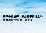 關(guān)中小麥品種（陜西關(guān)中種什么小麥最適宜 快來看一看吧）