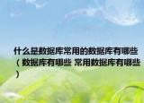 什么是數(shù)據(jù)庫(kù)常用的數(shù)據(jù)庫(kù)有哪些（數(shù)據(jù)庫(kù)有哪些 常用數(shù)據(jù)庫(kù)有哪些）