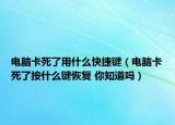 電腦卡死了用什么快捷鍵（電腦卡死了按什么鍵恢復(fù) 你知道嗎）