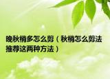 晚秋梢多怎么剪（秋梢怎么剪法 推薦這兩種方法）