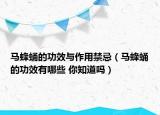 馬蜂蛹的功效與作用禁忌（馬蜂蛹的功效有哪些 你知道嗎）