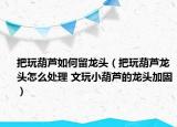 把玩葫蘆如何留龍頭（把玩葫蘆龍頭怎么處理 文玩小葫蘆的龍頭加固）