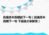 良禽擇木而棲的下一句（良禽擇木而棲下一句 下面給大家解答）