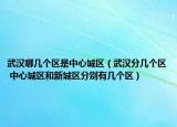 武漢哪幾個區(qū)是中心城區(qū)（武漢分幾個區(qū) 中心城區(qū)和新城區(qū)分別有幾個區(qū)）