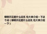 柳樹開花是什么征兆 給大家介紹一下這個(gè)詞（柳樹開花是什么征兆 給大家介紹一下）