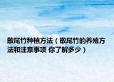 散尾竹種植方法（散尾竹的養(yǎng)殖方法和注意事項(xiàng) 你了解多少）