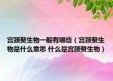 宮頸贅生物一般有哪些（宮頸贅生物是什么意思 什么是宮頸贅生物）