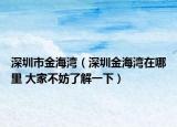深圳市金海灣（深圳金海灣在哪里 大家不妨了解一下）