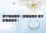 讀字筆畫順序（觀筆畫順序 觀字的筆畫順序）