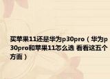 買蘋果11還是華為p30pro（華為p30pro和蘋果11怎么選 看看這五個方面）
