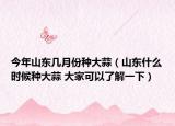今年山東幾月份種大蒜（山東什么時(shí)候種大蒜 大家可以了解一下）