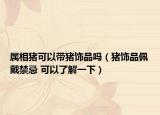 屬相豬可以帶豬飾品嗎（豬飾品佩戴禁忌 可以了解一下）