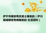 伊寧市哪里有賣男士假發(fā)的（伊川縣城哪里有做假發(fā)的 生活百科）