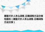 黑狼犬撲人怎么訓(xùn)練 正確訓(xùn)練方法分享給朋友（黑狼犬撲人怎么訓(xùn)練 正確訓(xùn)練方法分享）