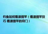 釣魚如何看漂提竿（看漂提竿技巧 看漂提竿的竅門）