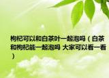 枸杞可以和白茶葉一起泡嗎（白茶和枸杞能一起泡嗎 大家可以看一看）