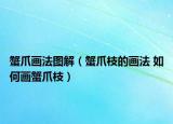 蟹爪畫法圖解（蟹爪枝的畫法 如何畫蟹爪枝）