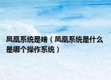 鳳凰系統(tǒng)是啥（鳳凰系統(tǒng)是什么 是哪個(gè)操作系統(tǒng)）
