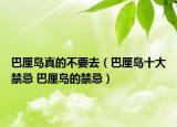 巴厘島真的不要去（巴厘島十大禁忌 巴厘島的禁忌）