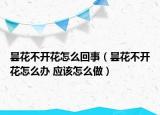 曇花不開花怎么回事（曇花不開花怎么辦 應(yīng)該怎么做）
