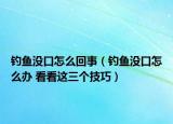 釣魚沒口怎么回事（釣魚沒口怎么辦 看看這三個技巧）