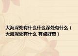 大海深處有什么什么深處有什么（大海深處有什么 有點好奇）