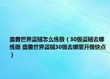 魔獸世界盜賊怎么練級(jí)（30級(jí)盜賊去哪練級(jí) 魔獸世界盜賊30級(jí)去哪里升級(jí)快點(diǎn)）