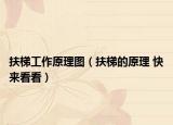扶梯工作原理圖（扶梯的原理 快來看看）