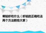 蝲蛄蝦吃什么（蝦蛄的正確吃法 兩個方法教給大家）