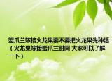 蟹爪蘭嫁接火龍果要不要把火龍果先種活（火龍果嫁接蟹爪蘭時(shí)間 大家可以了解一下）