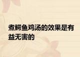 煮鱷魚雞湯的效果是有益無害的