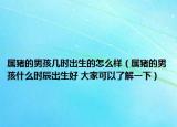 屬豬的男孩幾時(shí)出生的怎么樣（屬豬的男孩什么時(shí)辰出生好 大家可以了解一下）