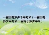 一畝田有多少個平方米（一畝田有多少平方米 一畝等于多少平米）