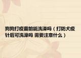 狗狗打疫苗前能洗澡嗎（打防犬疫針后可洗澡嗎 需要注意什么）