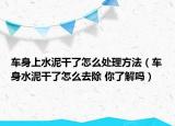 車身上水泥干了怎么處理方法（車身水泥干了怎么去除 你了解嗎）