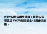 wow42級去哪里練級（聯(lián)盟42去哪練級 WOW聯(lián)盟戰(zhàn)士42級去哪練級）