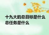 十九大的總目標(biāo)是什么總?cè)蝿?wù)是什么