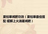 夏枯草減肥功效（夏枯草最佳搭配 緩解上火消暑減肥）