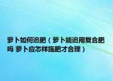 蘿卜如何追肥（蘿卜能追用復合肥嗎 蘿卜應怎樣施肥才合理）