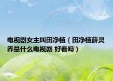 電視劇女主叫田凈植（田凈植薛靈喬是什么電視劇 好看嗎）