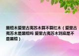 黑檀木愛(ài)里古夷蘇木算不算紅木（愛(ài)里古夷蘇木是黑檀嗎 愛(ài)里古夷蘇木到底是不是黑檀）