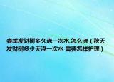 春季發(fā)財樹多久澆一次水,怎么澆（秋天發(fā)財樹多少天澆一次水 需要怎樣護理）