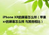 iPhone XR的屏幕怎么樣（蘋果xr的屏幕怎么樣 與其他相比）